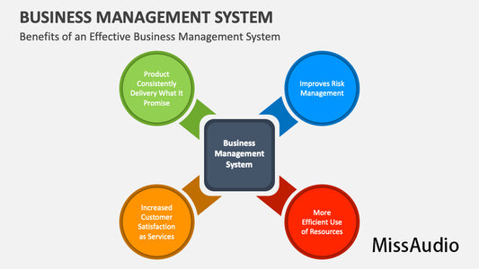 MissAudio Business management and organization consultancy, Maximise your business potential with strategic thinking