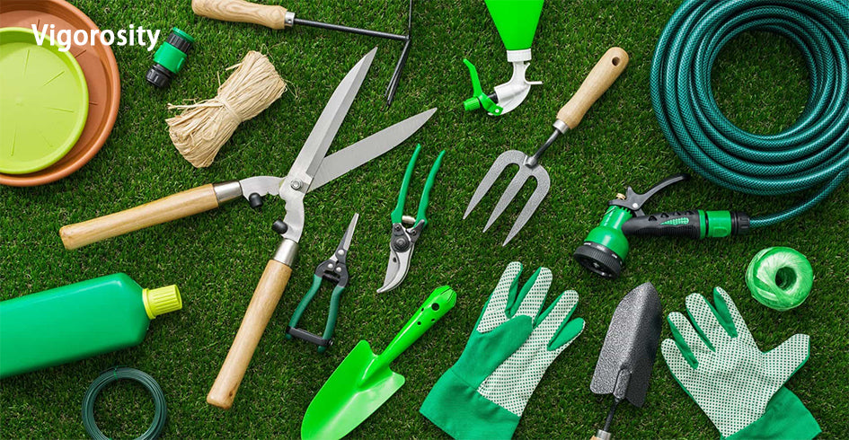 Vigorosity Gardener and gardening services，Grounds Care Services for Homeowners,maintenance will keep your lawn and landscaping healthy and looking its best