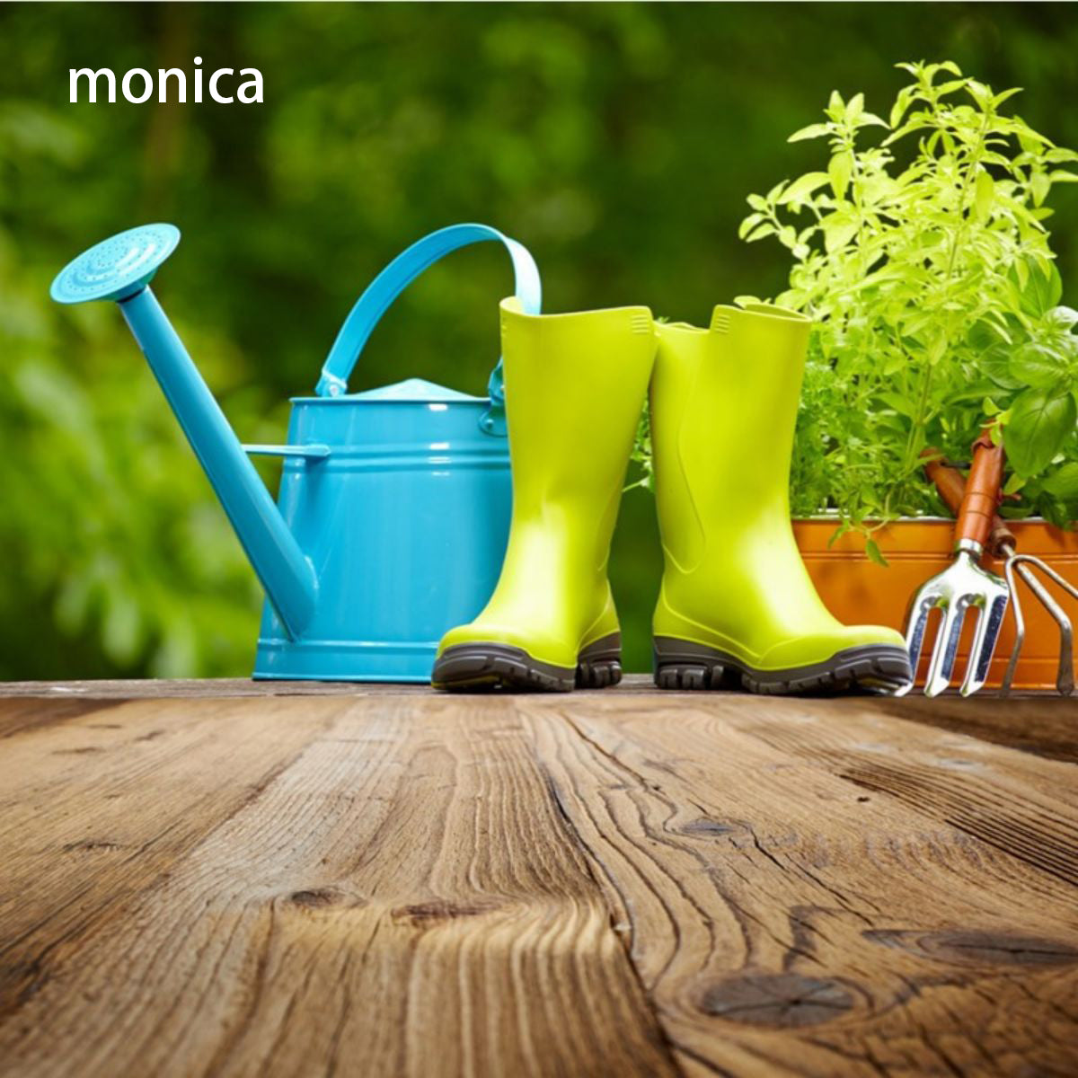 monica Horticultural services To provide a cleaner, greener and more sustainable environment. 