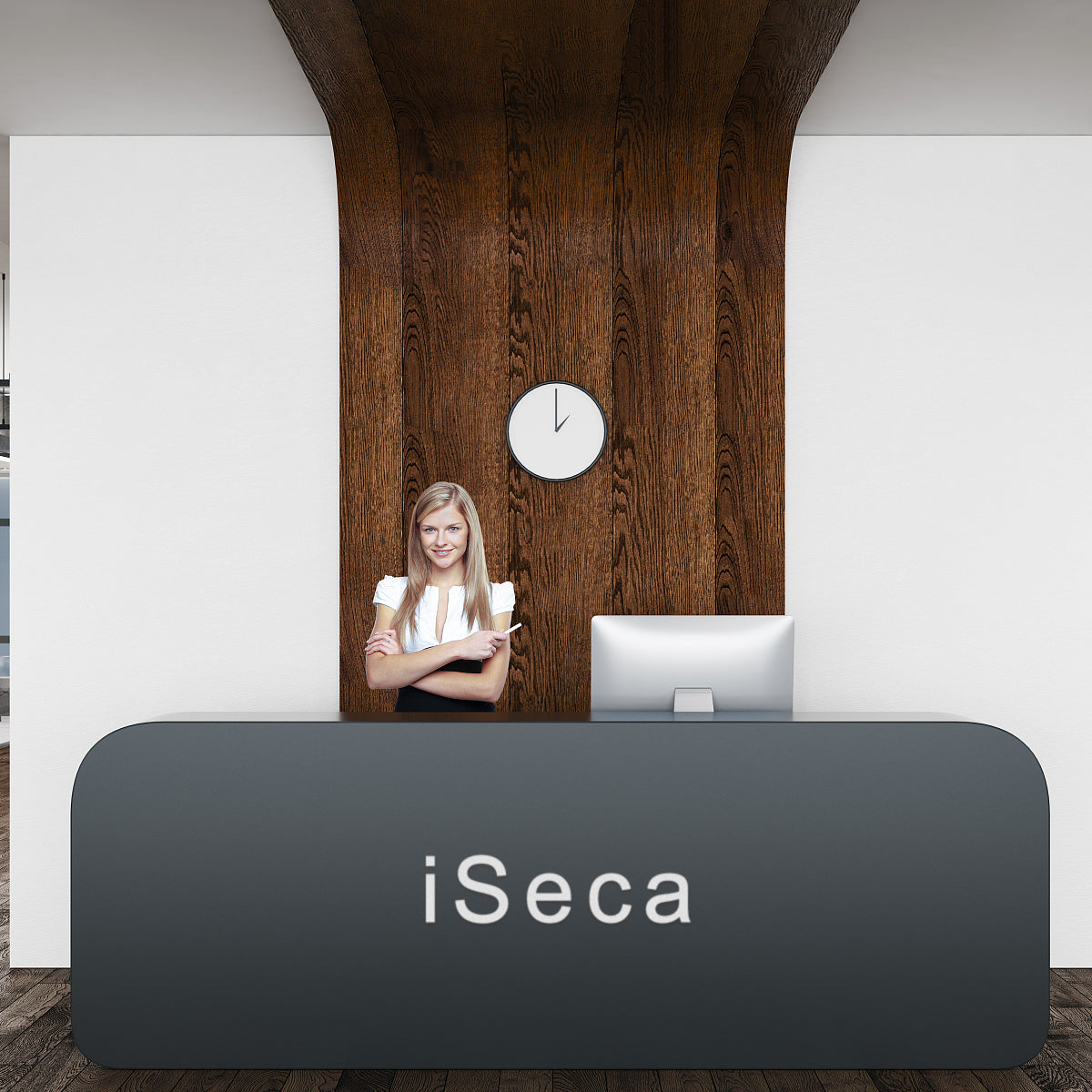 iSeca Advertising and marketing,the combination of traditional marketing and digital marketing expands online awareness for your  product