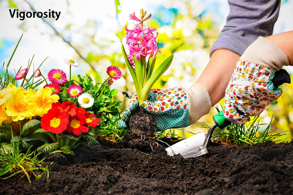 Vigorosity Gardener and gardening services，Grounds Care Services for Homeowners,maintenance will keep your lawn and landscaping healthy and looking its best