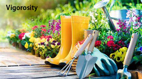 Vigorosity Gardener and gardening services，Grounds Care Services for Homeowners,maintenance will keep your lawn and landscaping healthy and looking its best