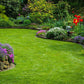 Vigorosity Gardener and gardening services，Grounds Care Services for Homeowners,maintenance will keep your lawn and landscaping healthy and looking its best