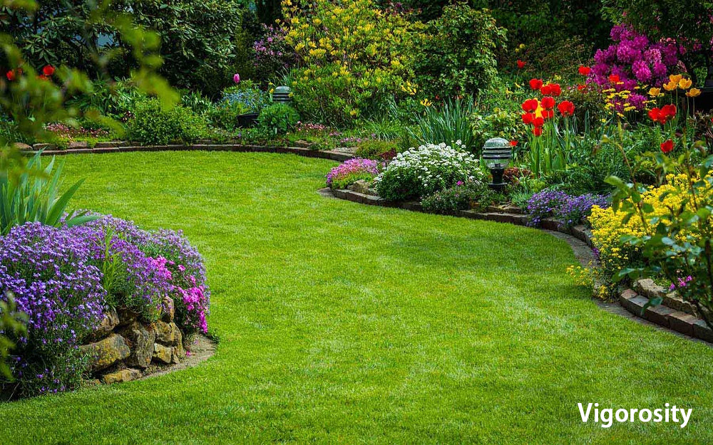 Vigorosity Gardener and gardening services，Grounds Care Services for Homeowners,maintenance will keep your lawn and landscaping healthy and looking its best