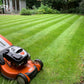 Vigorosity Gardener and gardening services，Grounds Care Services for Homeowners,maintenance will keep your lawn and landscaping healthy and looking its best