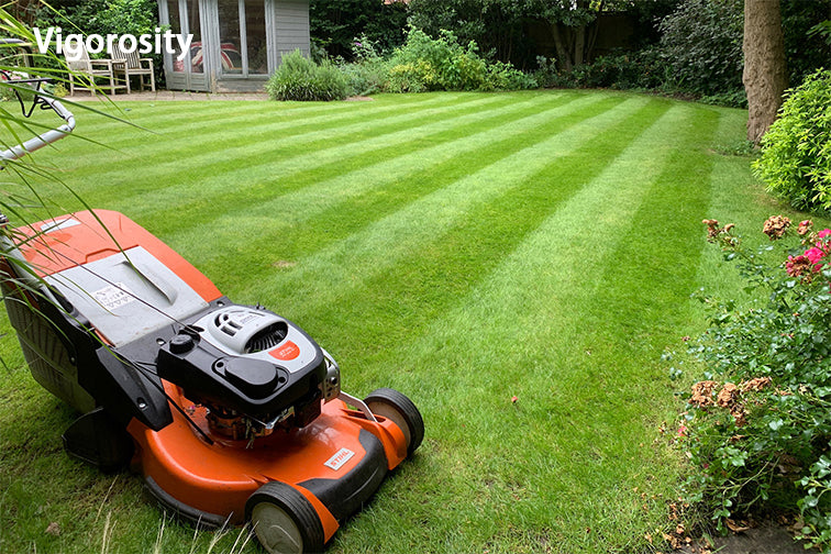 Vigorosity Gardener and gardening services，Grounds Care Services for Homeowners,maintenance will keep your lawn and landscaping healthy and looking its best